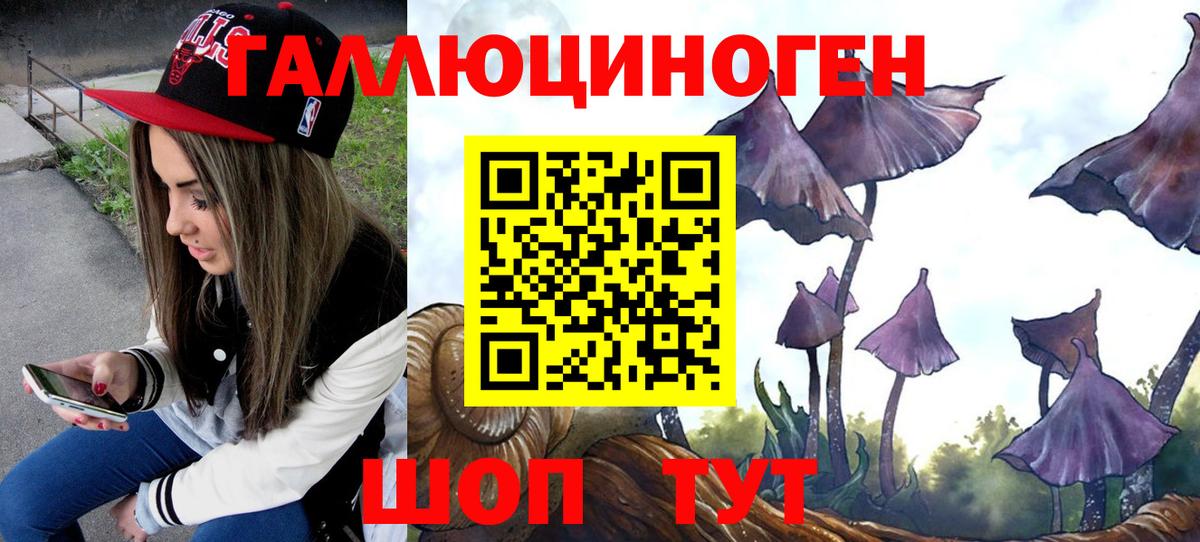 Галлюциногенные грибы MAGIC MUSHROOMS  где купить наркотик  Вход с VPN  Реж  Псилоцибиновые грибы прущие грибы 